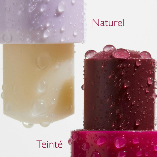 Caudalie Baume Lèvres Teinté 4,5g Hydratation Longue Durée Parapharmacie