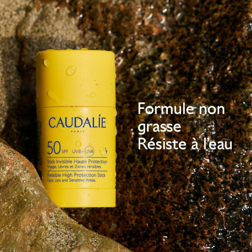 Stick Solaire Caudalie SPF50 : Protection Invisible, SPF50, PA++++