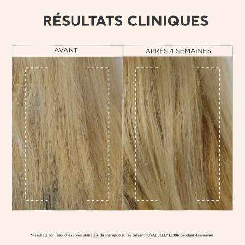 Shampoing Apivita Royal Jelly : Revitalisez cheveux fragiles & ternes
