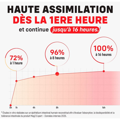 Mag 2 Expert Cooper : Magnésium + B6/B12 - 90 comprimés