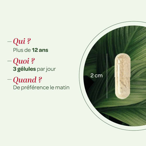 Curcuma Pipérine Bio Super Diet - Soulagement Articulaire Naturel