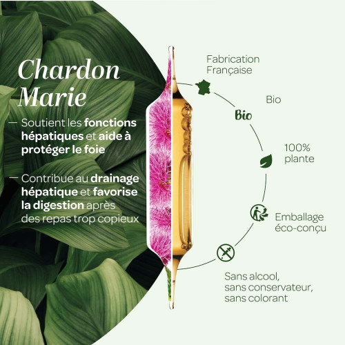 Chardon Marie Bio Super Diet - Protège le foie & digestion