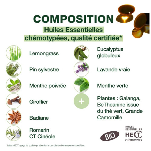 Pranarom Coups de Froid : Soutien Jour/Nuit Respiratoire & Immunité