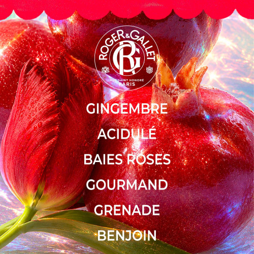 Roger&Gallet Coffret Noël - Parfum & Soin Épicé