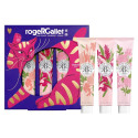Roger&Gallet : Trio Crèmes Mains Noël - 3 Fragrances Nourrissantes