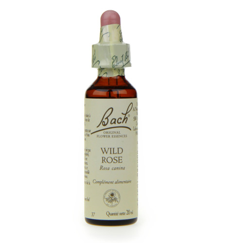 FLEURS DE BACH Original Wild Rose 20 ml-9076