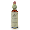 FLEURS DE BACH Rock Rose 20 ml-9088