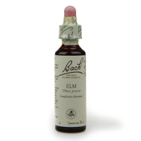 Fleurs de Bach Elm 20ml - Soulagement naturel du stress