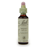 FLEURS DE BACH Walnut 20 ml-9094