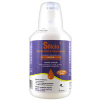 PHYTORESEARCH Silicio Chondroïtine & Glucosamine 500 ml-9798